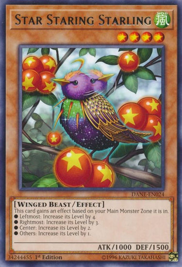 Star Staring Starling | DANE-EN024